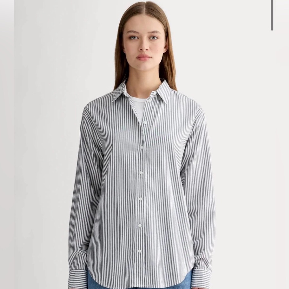 Everlane Silky Shirt 2 in Blue Gray Stripe